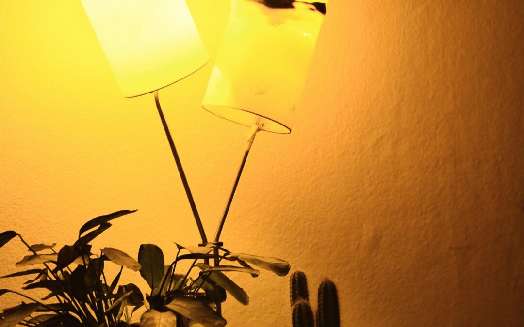 Set the Mood: How Night & Mood Lighting Can Transform Your Home